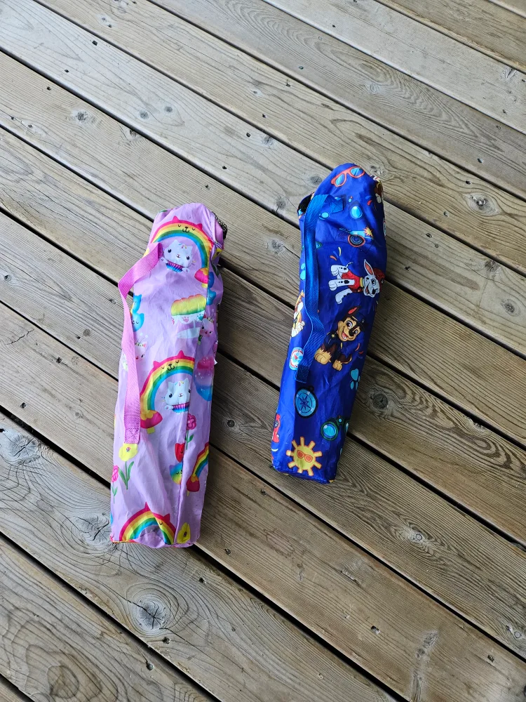 2 Kids Character Camp Chairs - Paw Patrol & Gabby's Dollhouse image indicator(4)