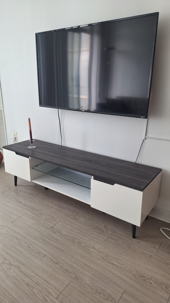 TV Stand with 2 doors