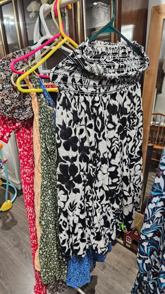 Assorted Women's Clothing image indicator(8)