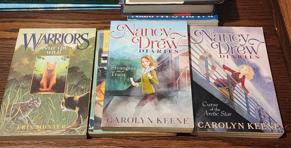 Nancy Drew Diaries Books ect. thumbnail