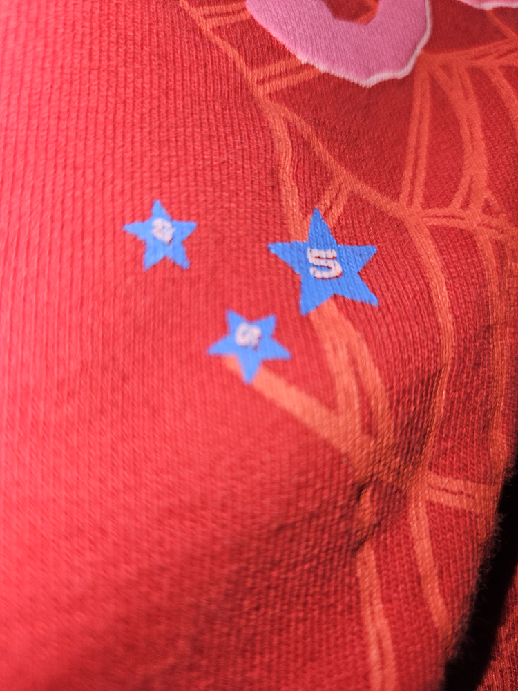 SP5DER Red Hoodie - photo 4