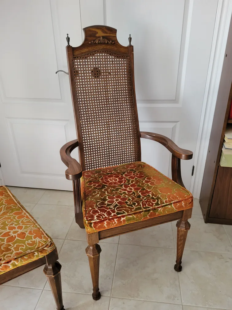 Antique Cane Back Dining Set image indicator(4)