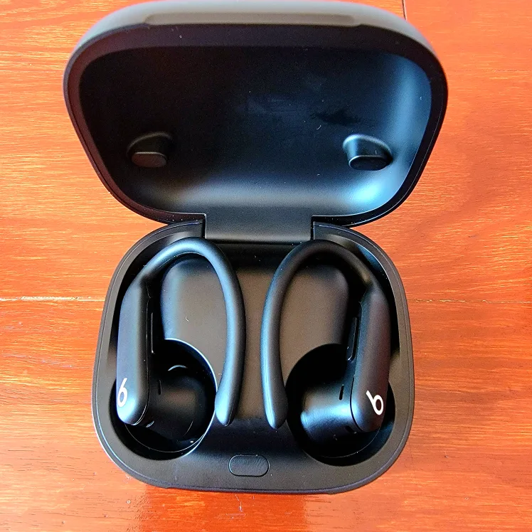 Beats Powerbeats Pro 2 Wireless Earbuds thumbnail