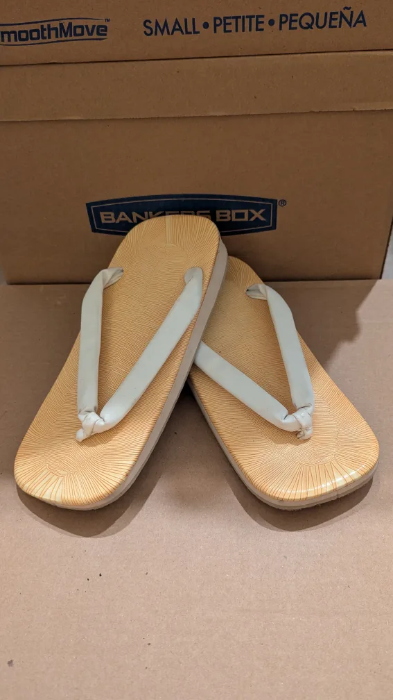 Free Men's Zori Sandals