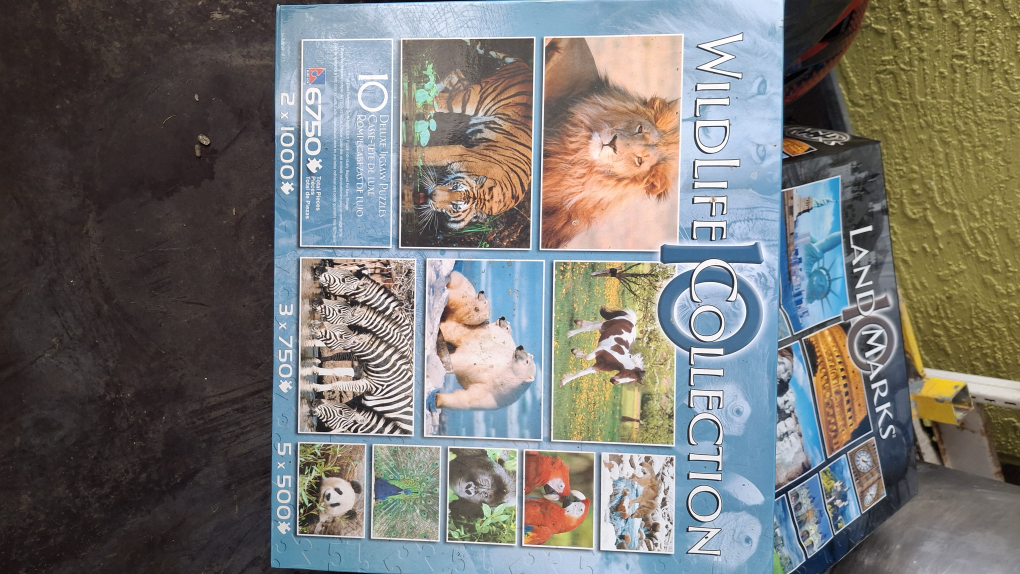 10-in-1 Puzzle Collection - photo 3