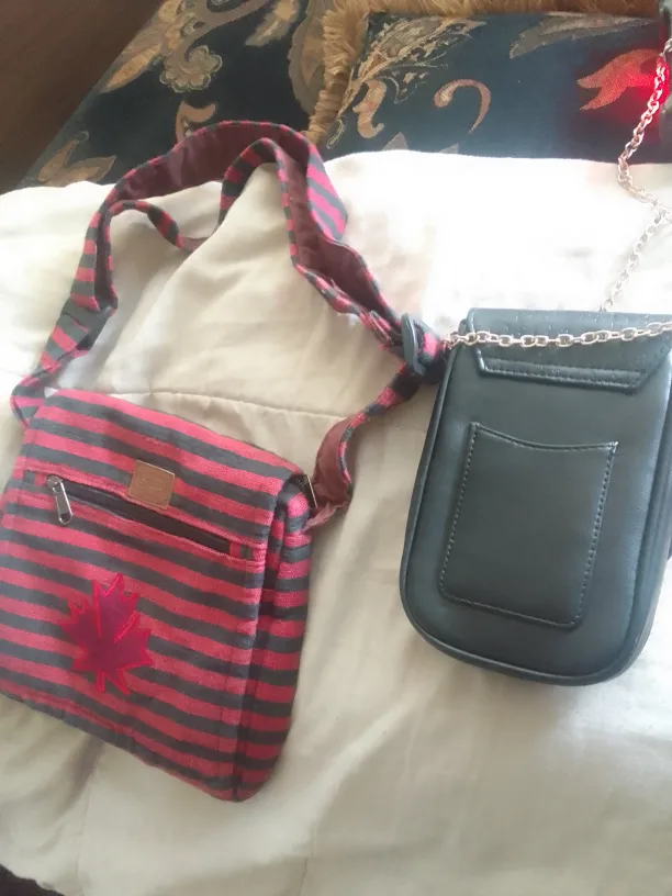 Guess chain bag and Canada bag image indicator(2)