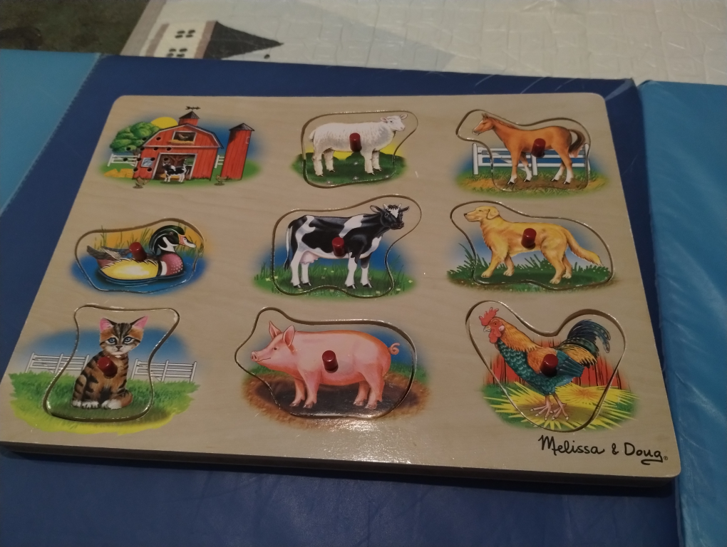 Melissa & Doug Farm Animal Puzzle