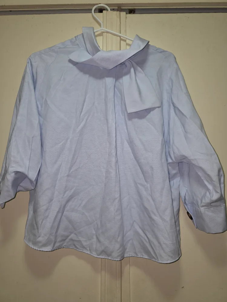 Zara Basic Blue Blouse - Size M image indicator(2)