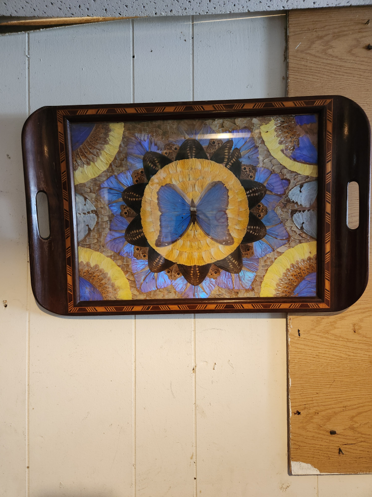 Butterfly Wing Tray - photo 2