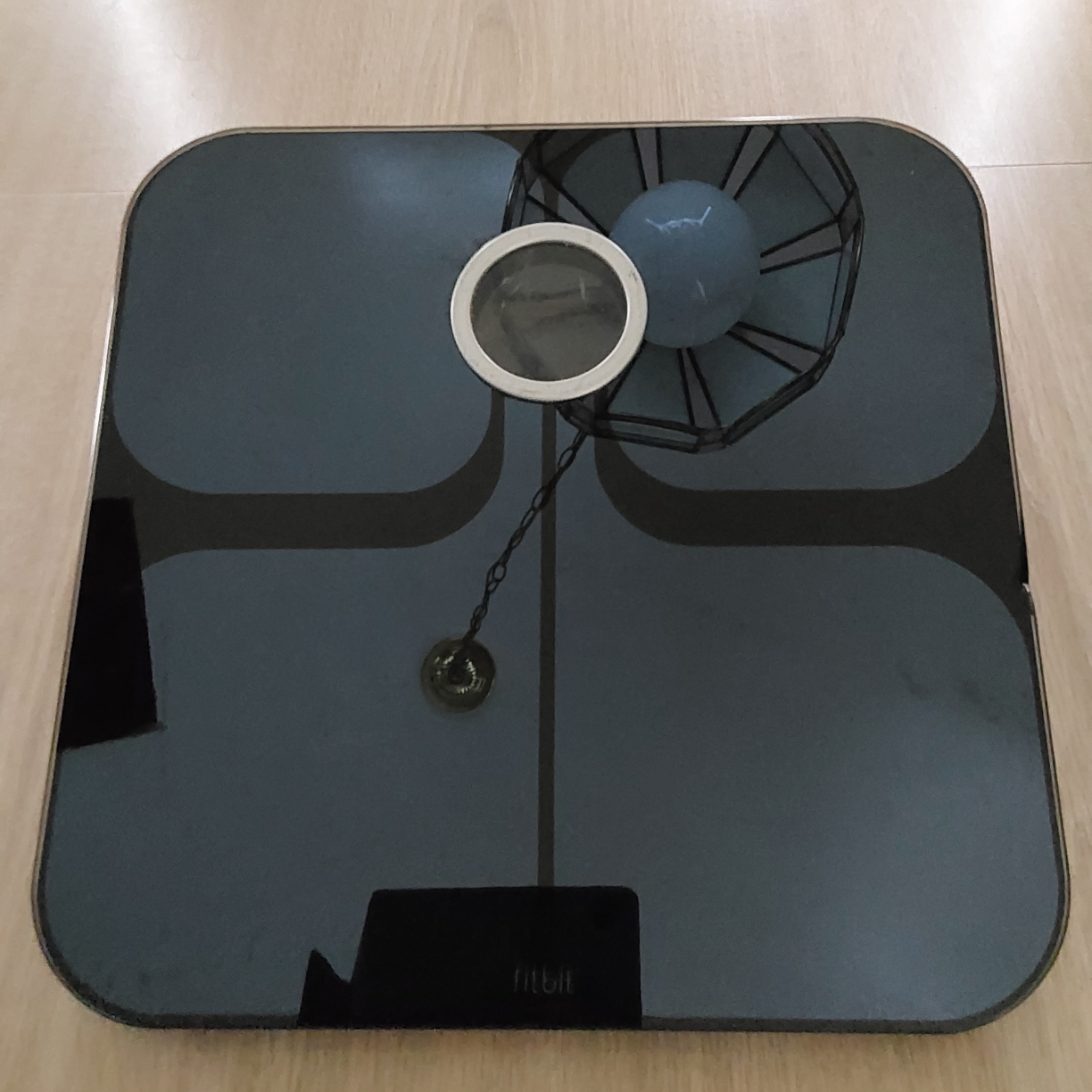 Fitbit Digital Weight Scale