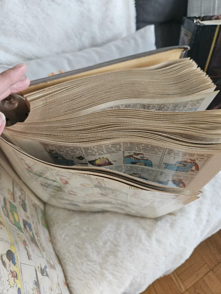 Calvin and Hobbes Comic Collection image indicator(4)