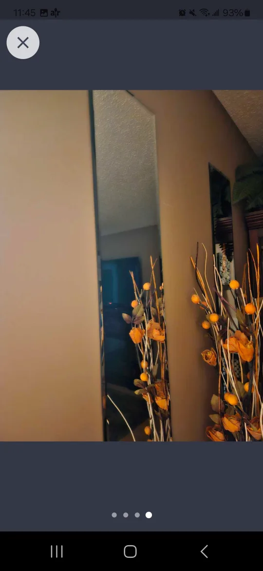 Full Length Bevelled Glass Mirrors" Make me a deal for all 4" image indicator(3)