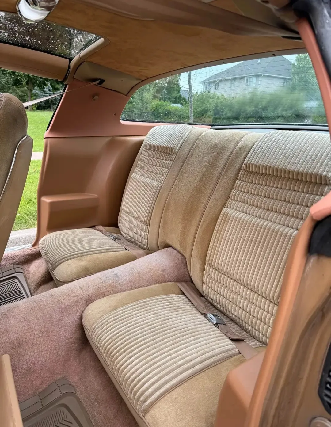 1981 Turbo Trans Am 4.9L, Beautifully Maintained image indicator(6)