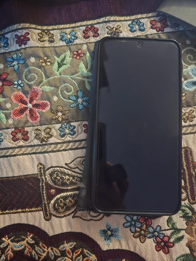 Samsung Galaxy S22 (SM-S901W) - 256GB