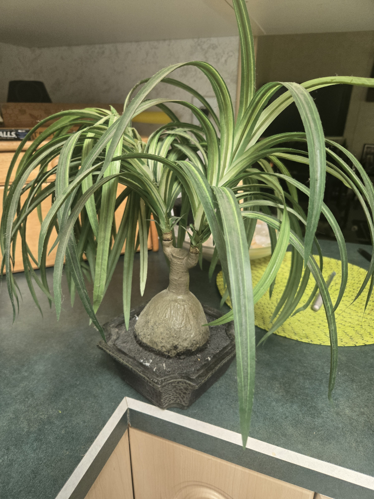 Artificial Ponytail Palm Plant 🥕