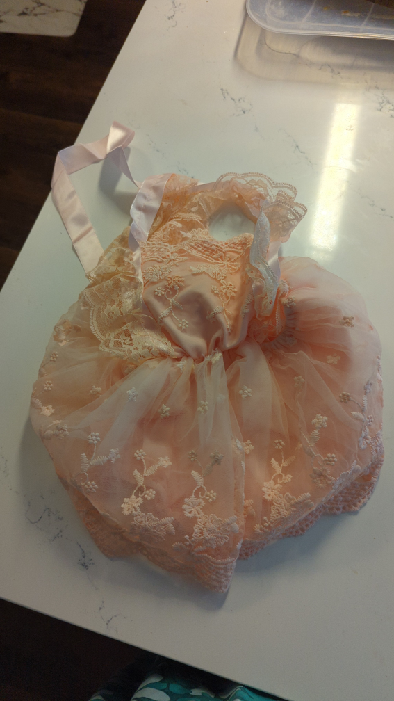 Peach Lace Tutu Dress