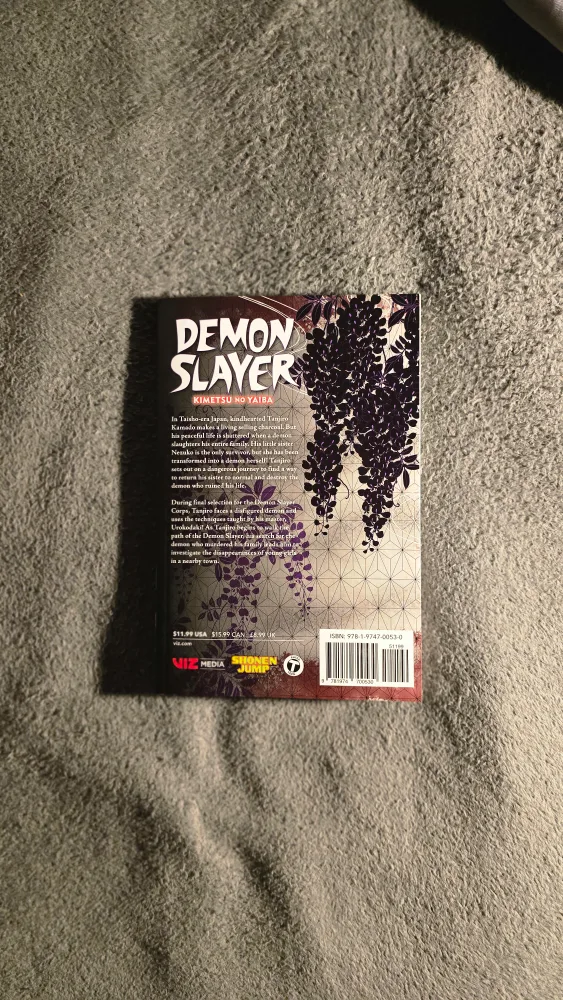 Demon Slayer: Kimetsu no Yaiba, Vol. 2 Manga image indicator(2)