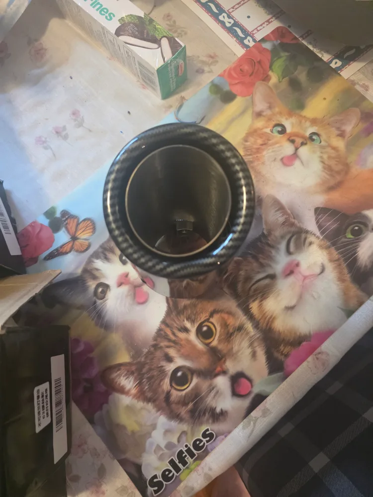 Carbon Fiber Exhaust Tips image indicator(2)