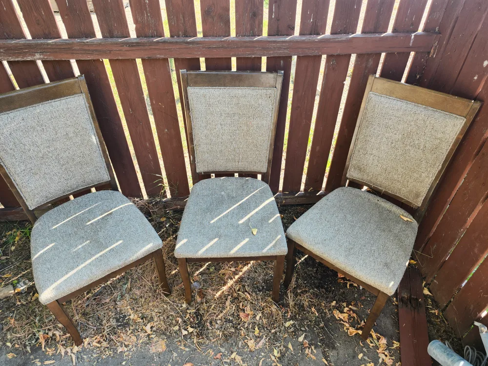 Set of 3 Dining Chairs thumbnail
