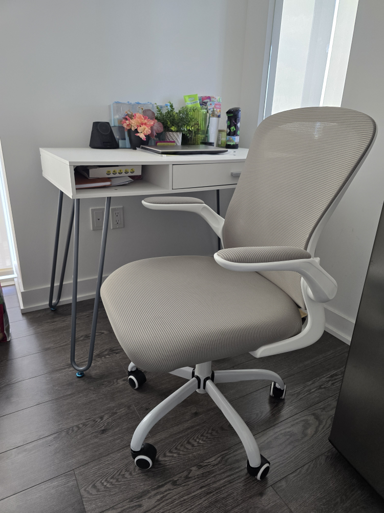 Desk and Office Chair Set