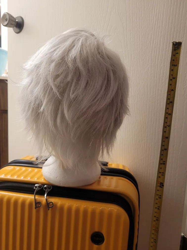 Silver Cosplay Wig image indicator(3)