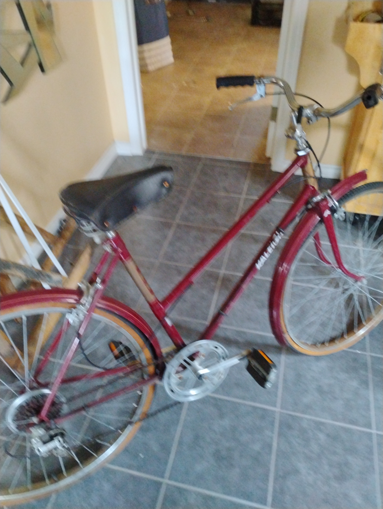 Raleigh Bicycle - Classic Style vintage - photo 2