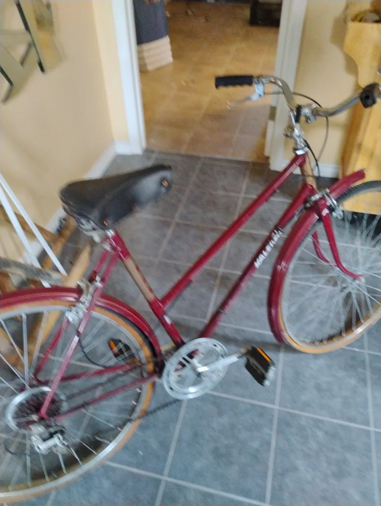 Raleigh Bicycle - Classic Style vintage image indicator(2)