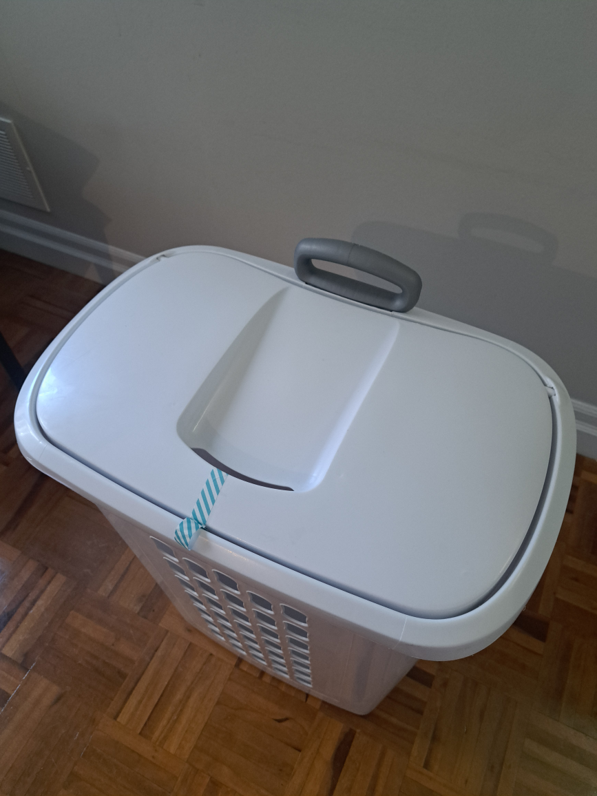 Laundry Basket with Lid