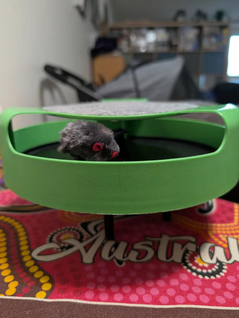 Interactive Cat Toy with Mouse thumbnail