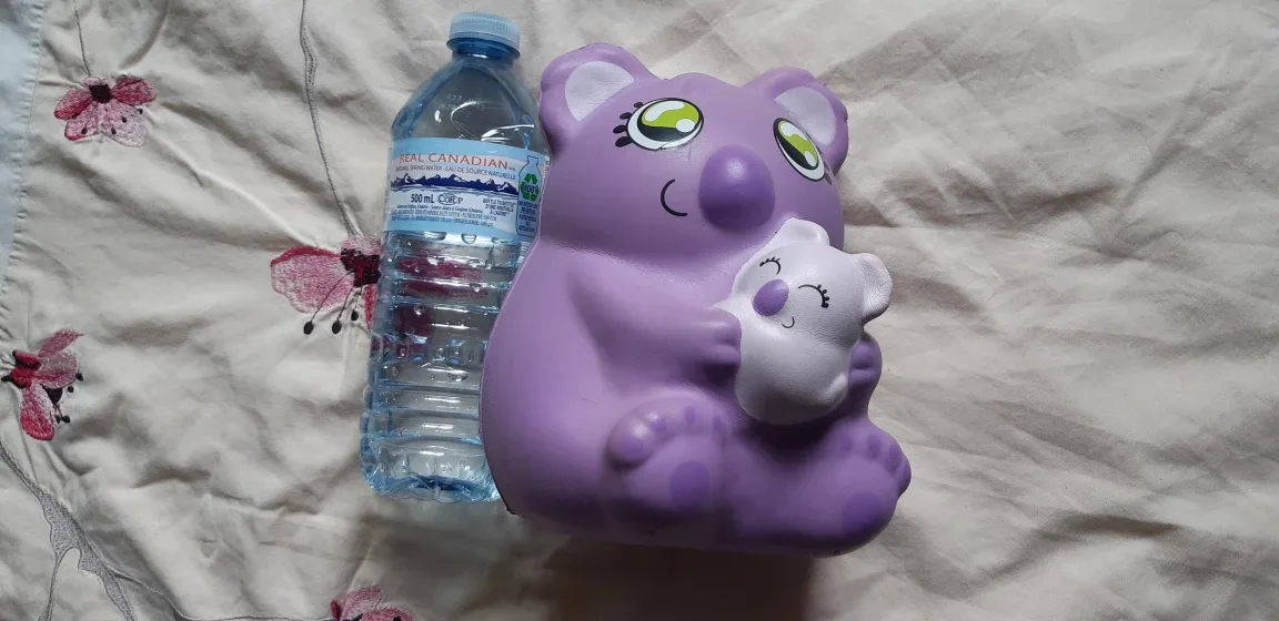 Squish Dee-Lish Koala Squishy Toy image indicator(2)