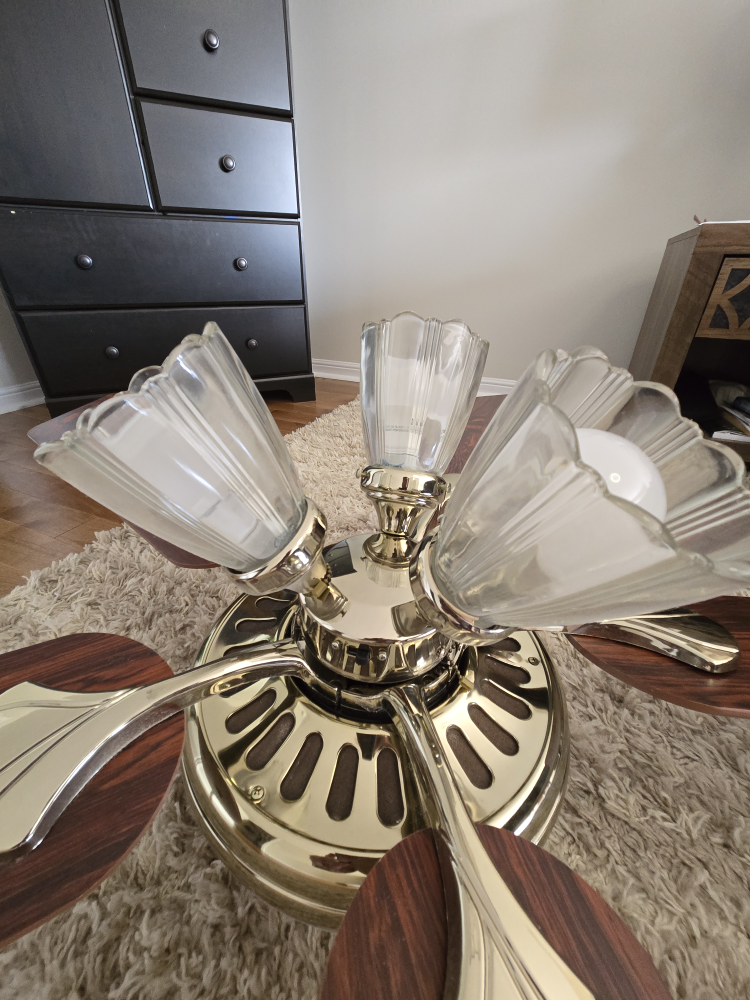 Ceiling Fan with Light Fixture - photo 2
