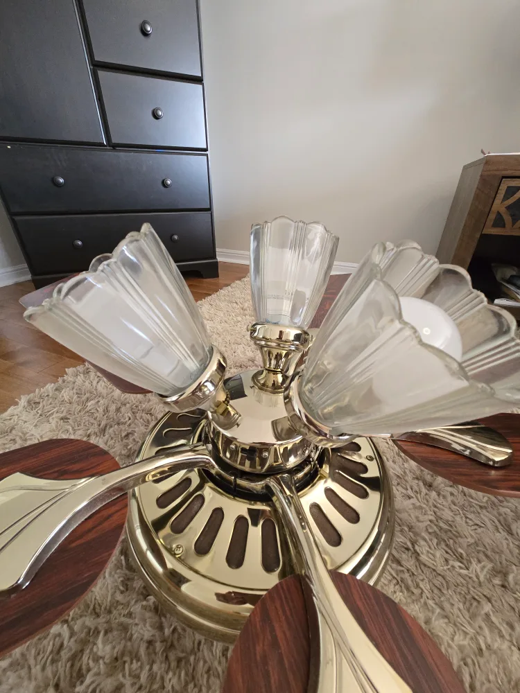 Ceiling Fan with Light Fixture image indicator(2)