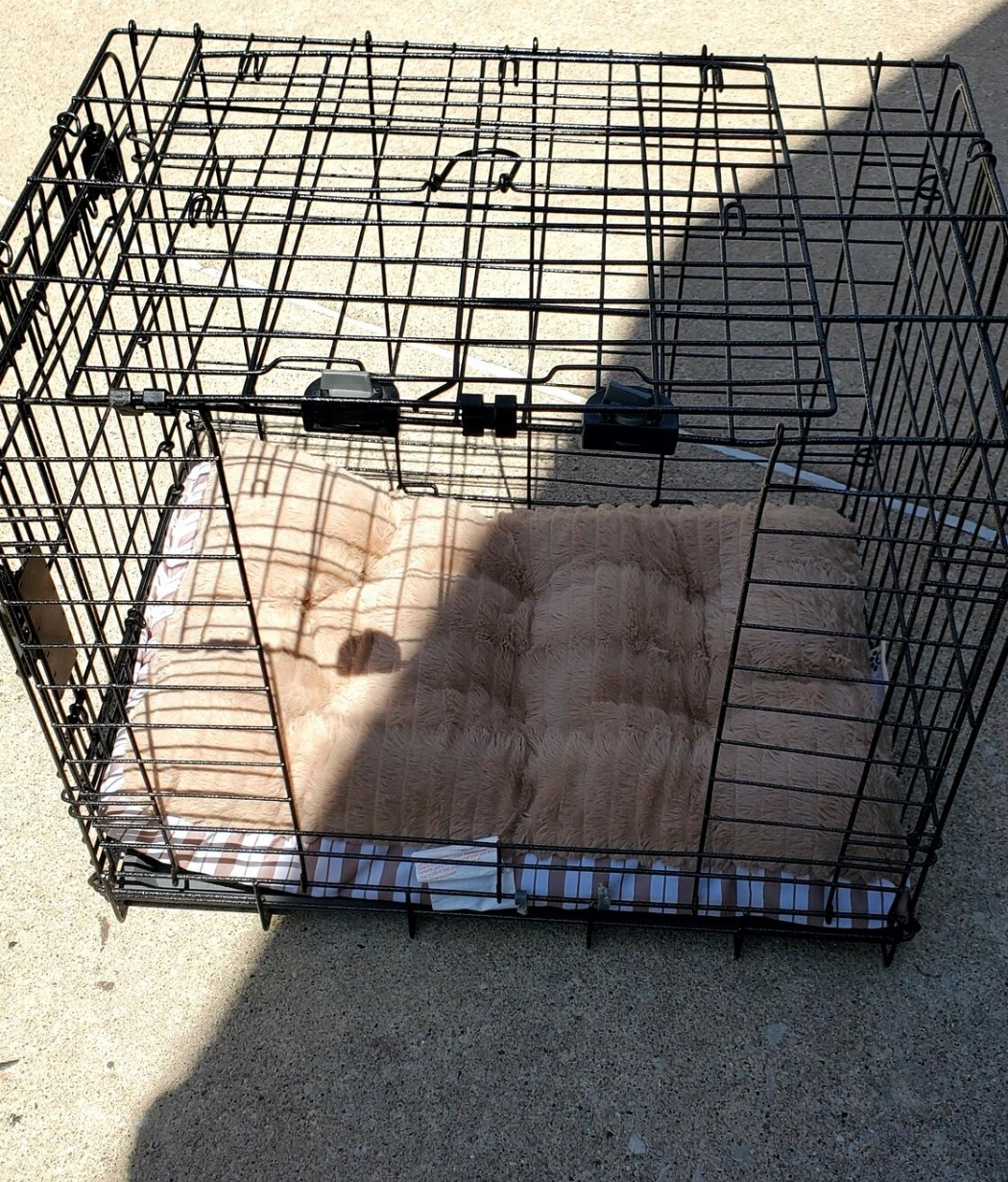 small Dog crate - photo 2