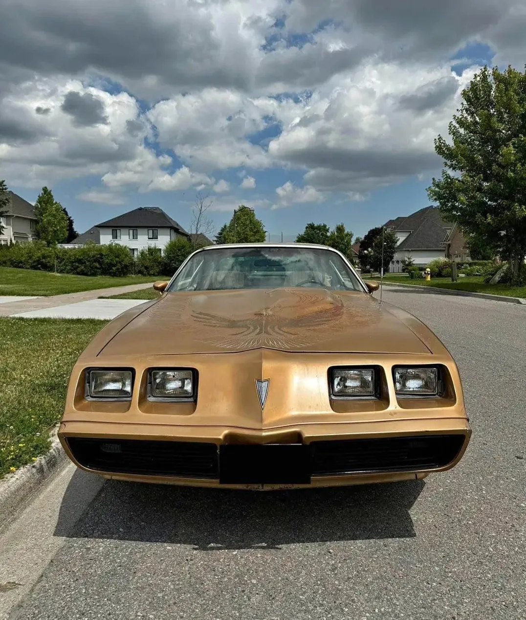 1981 Turbo Trans Am 4.9L, Beautifully Maintained image indicator(2)