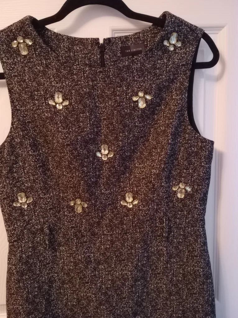 The Limited Dress - Size 8 image indicator(2)