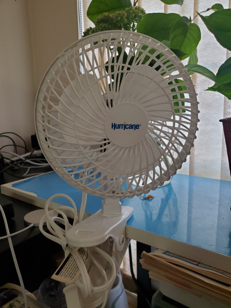 Hurricane Clip Fan - White