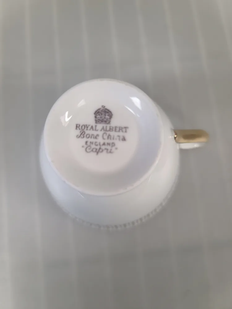 Royal Albert Bone China Capri Teacup & Saucer Set image indicator(2)