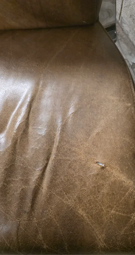 Aviator Brown Leather Chair with Metal Frame image indicator(2)