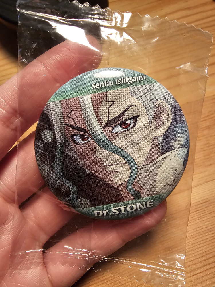 Dr. Stone Senku Ishigami Pin - New!