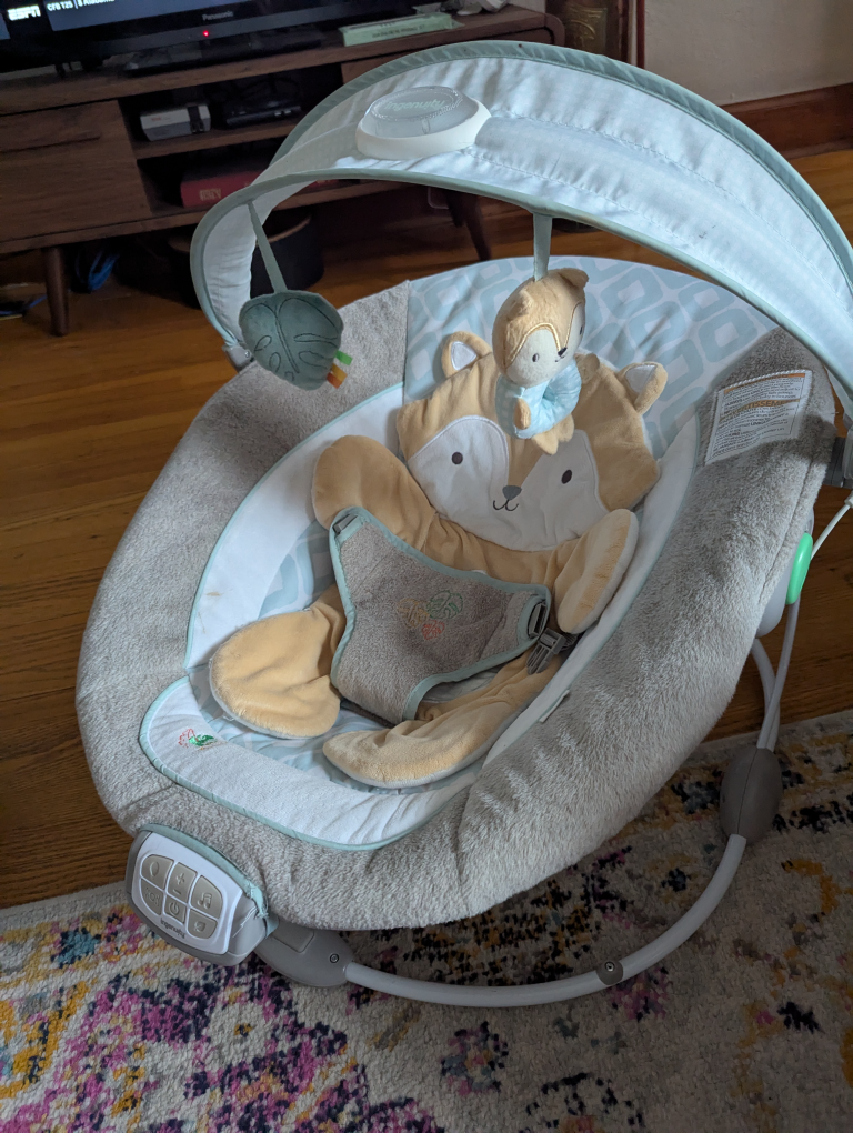 Ingenuity Baby Bouncer Seat