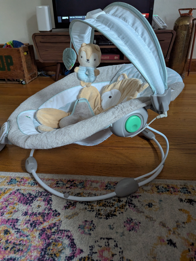 Ingenuity Baby Bouncer Seat - photo 2