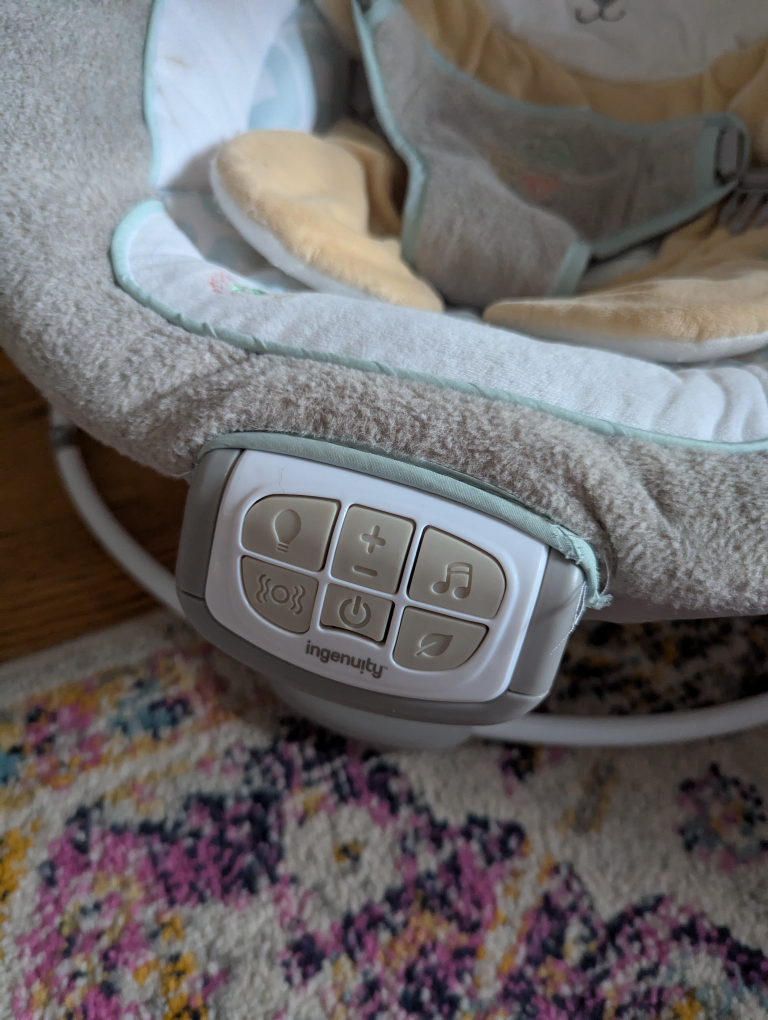 Ingenuity Baby Bouncer Seat - photo 3