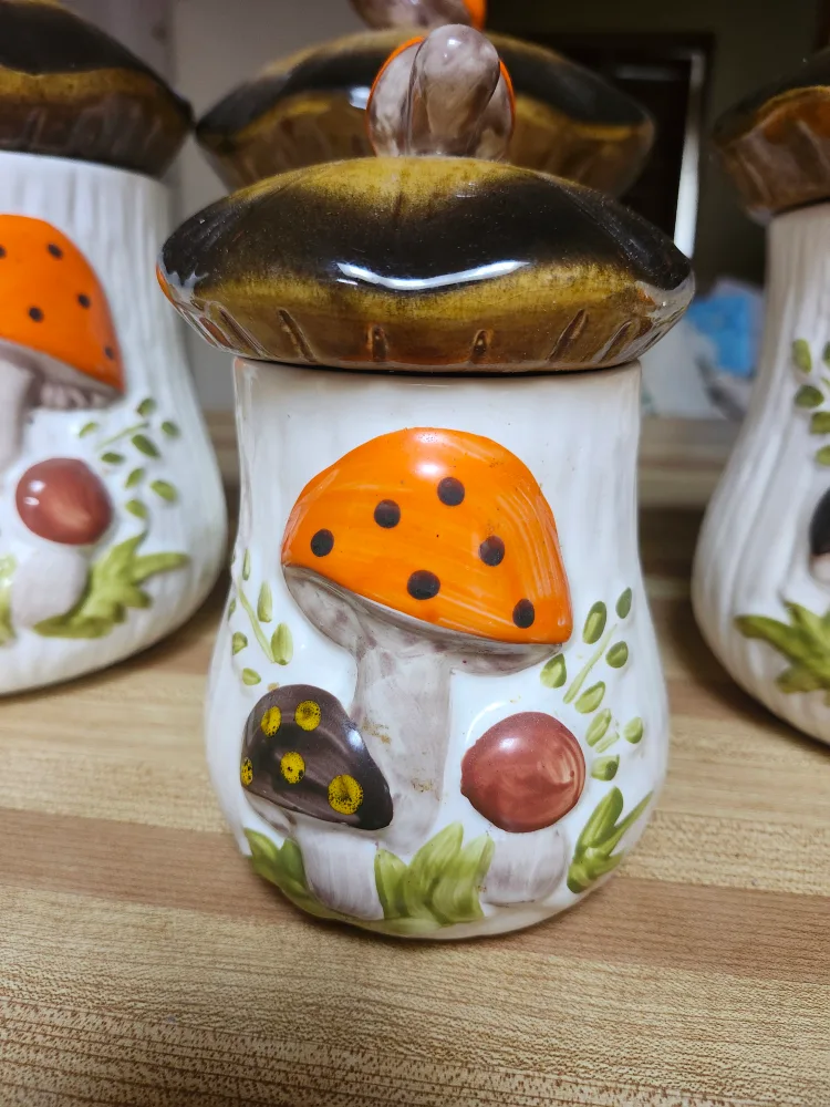 Vintage Merry Mushroom Canister Set from Sears and Roebuck 1970s image indicator(4)