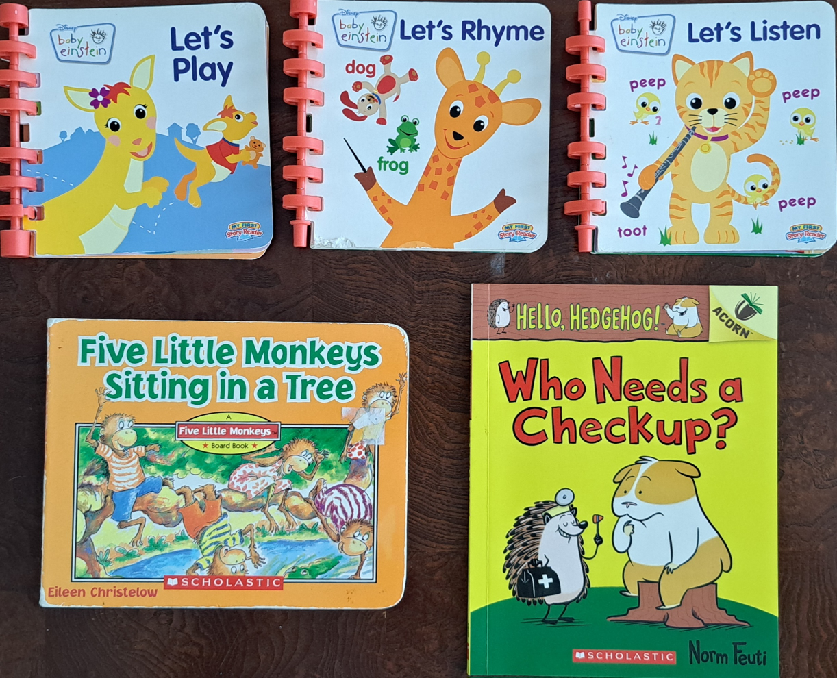 Children's Board Books - Disney Baby Einstein & Scholastic