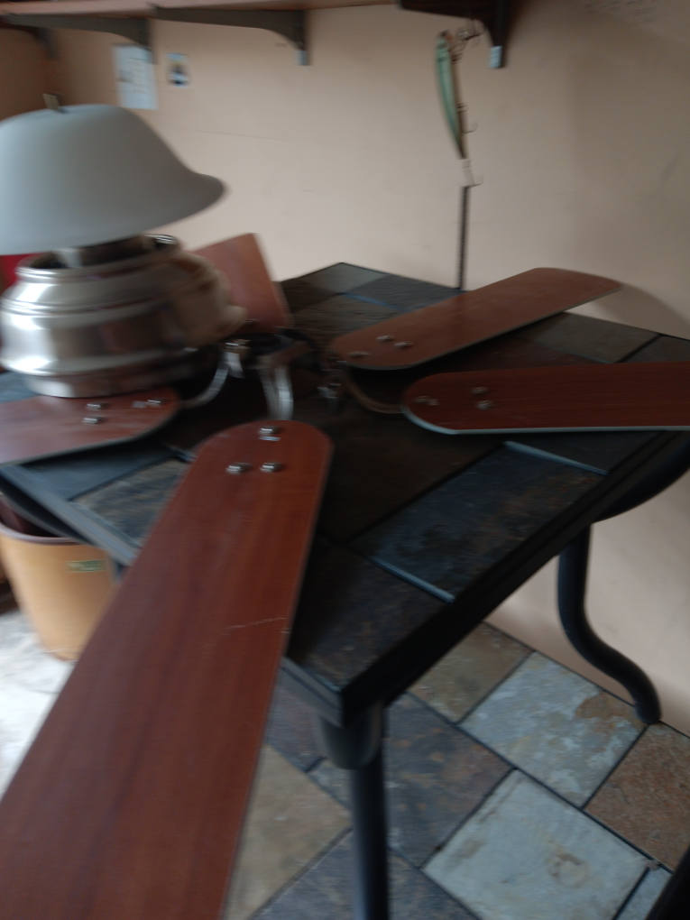 Ceiling Fan with Light