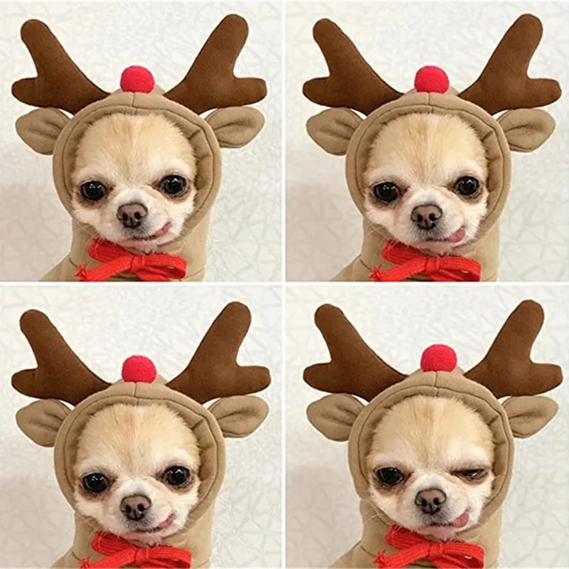 Reindeer Dog Costume - Size M image indicator(5)