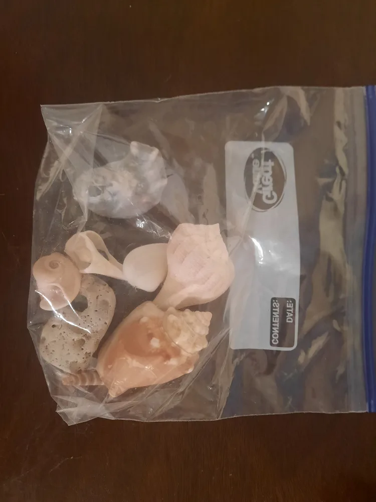 Shells in a bag thumbnail