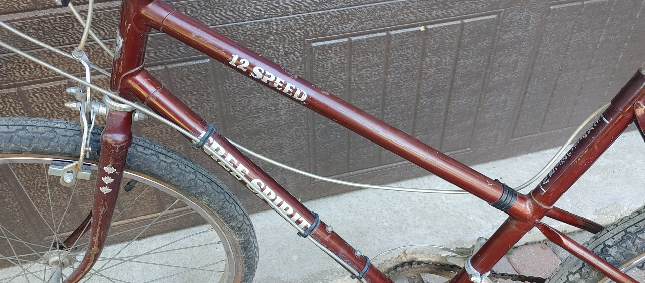 Two bikes for the price of one - photo 5