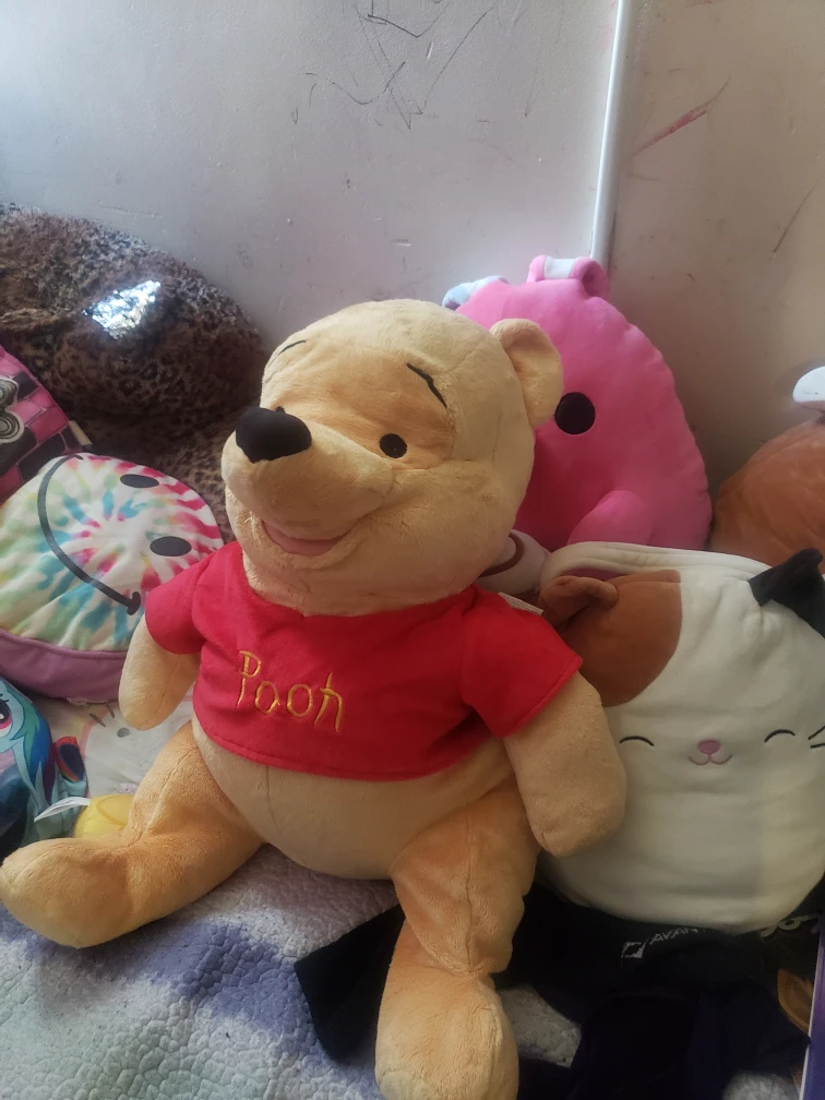 Winnie the Pooh Plush Toy - photo 4