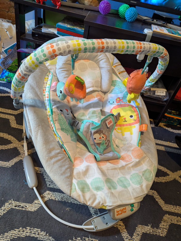 Bright Starts Baby Bouncer